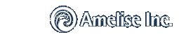 Amelise Inc.